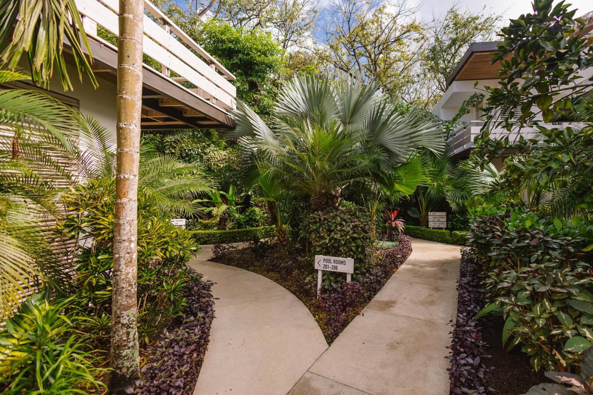 The Gilded Iguana Hotel Nosara Bagian luar foto